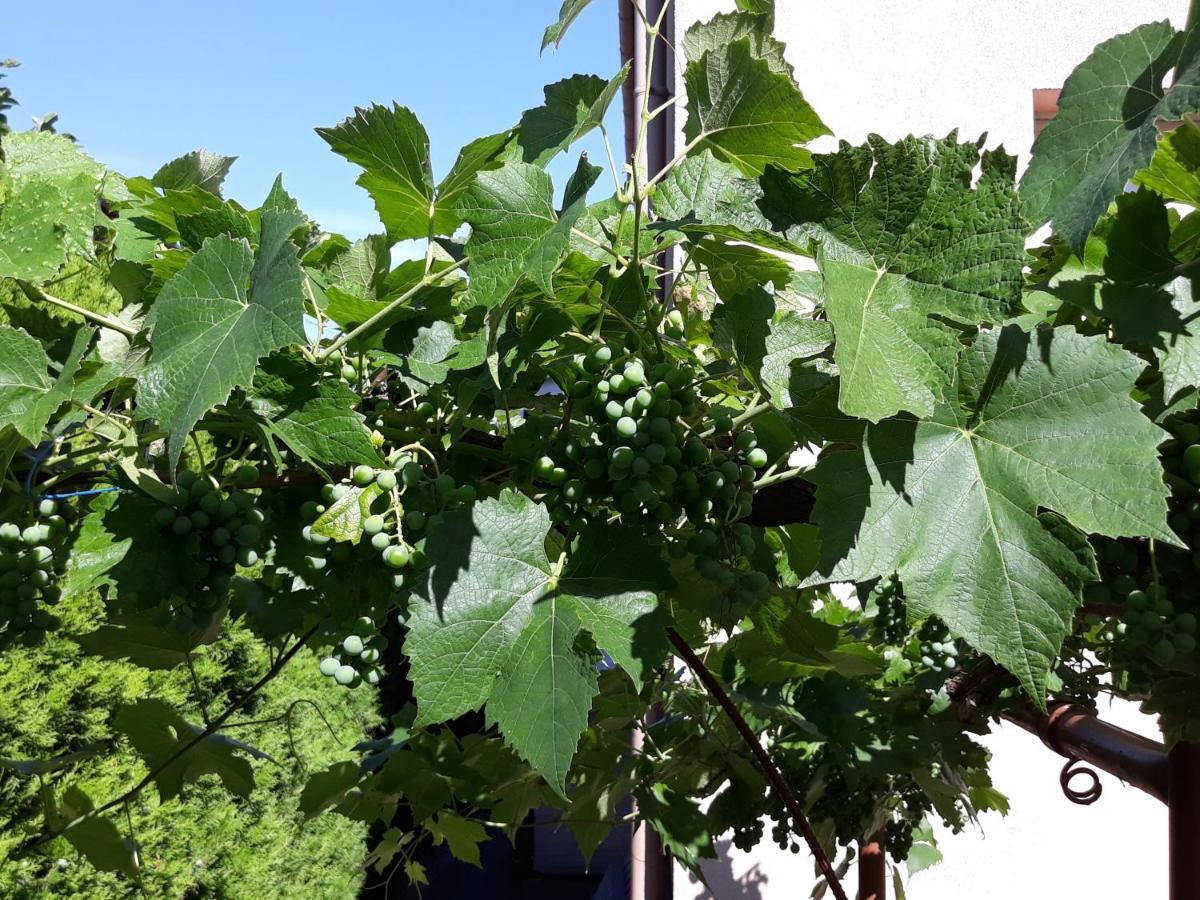 Lázár Apartmanok Heviz Exterior foto